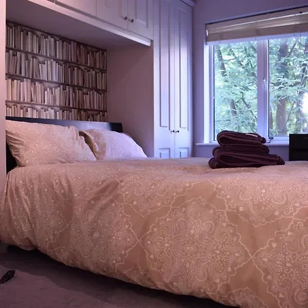 2 Bedroom With Terrace 公寓 都柏林